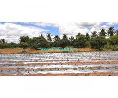 1 Acre 22 Gunta Super Farm Land Rajakalahalli Near Vemgal