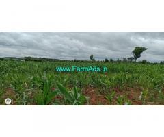 67 guntas Farm land for sale at Arudi,Sasalu Hobli