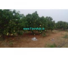 30 acres mango farm for sale near Sindhanur