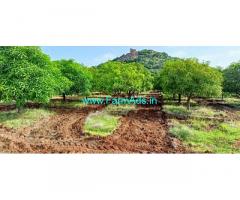 30 acres mango farm for sale near Sindhanur