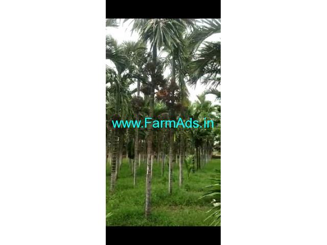 10 Acres Areca nut plantation For sale near Vajarahalli