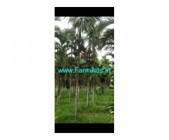 10 Acres Areca nut plantation For sale near Vajarahalli