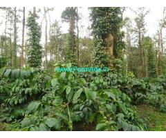6 acre well maintained Robusta plantation sale in Sakaleshpur