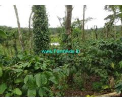 5 acre maintained Robusta and pepper Estate sale in Mudigere