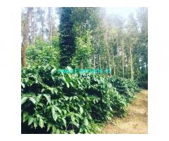 7.5 acre coffee estate for sale in Belur