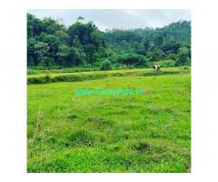 4.5 acre Farm land for sale in Sakleshpur