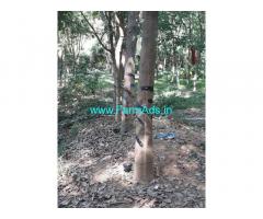 15 Acres Agriculture property for sale Belthangady