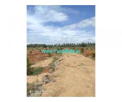7 acres Farm Land for Sale Udumalpet Palladam main road