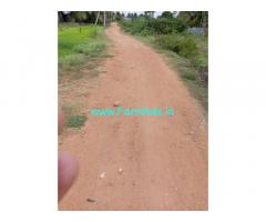 30 acre agriculture land for sale near Sira
