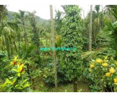 7 acre Robusta plantation with Farm house sale in Sakleshpur