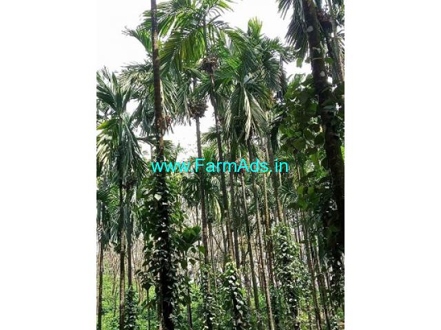4 acres agriculture property for sale Naravi