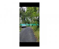 3.40 acres Robusta coffee plantation for sale in Coorg