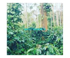 50 acre coffee estate for sale in Hassan