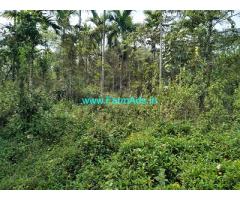 3.5 acre Dc converted land sale in Mudigere