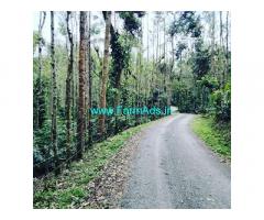 2.5 acre well maintained coffee estate for sale in Chikmagalur