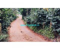 1.5 acre coffee areca pepper plantation for sale in Chikkmagalur
