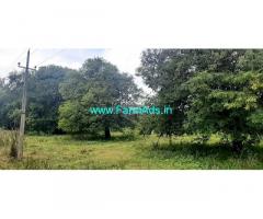 30 Gunta Tamarind Trees Farm Land for Sale at Huttur