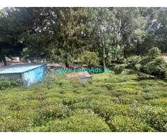 45 cents extent Property located in Kotagiri