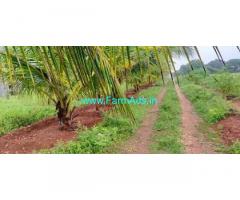5.5 acres of agricultural land for sale near Dharapuram