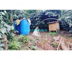 1.5 acre coffee areca and pepper plantation for sale in Chikmagalur