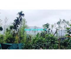 1.5 acre coffee areca and pepper plantation for sale in Chikmagalur