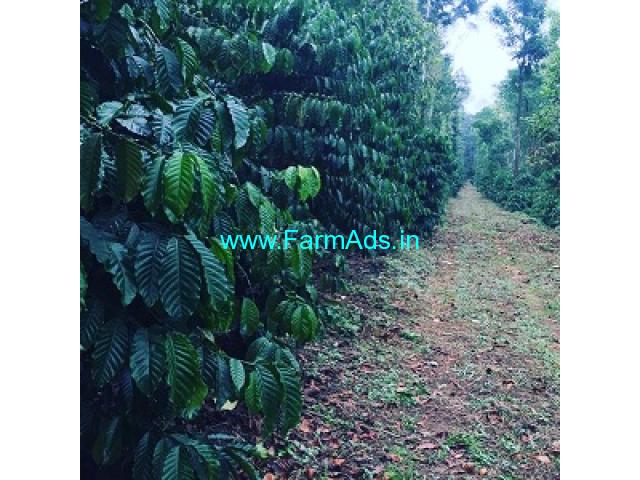 7 acre coffee estate for sale in Chikmagalur