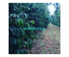 7 acre coffee estate for sale in Chikmagalur