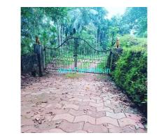 4 acre coffee plantation for sale in Madikeri