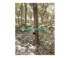 7 acres agriculture property for sale Naravi