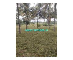 Total Farm Land 5.5 acres for Sale Denkanikoti,Ayyur Road
