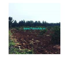 2 acres Guava Plantation Land for sale in Doddaballapur