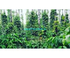 5 acre back water attached coffee,pepper plantation for sale in Hassan