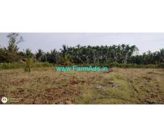 7.20 Acres unmaintained coconut and Mango garden for sale Near Cheluru