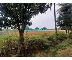 6 acres Farm Land for Sale 16 km from Kolar