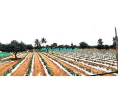 Lake View 1 Acre 04 Gunta Farm Land for Sale Near Srinivaspura Mulbagal NH