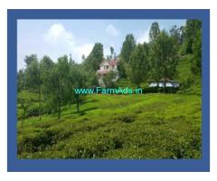 3.37 acre's tea estate with old bunglow for Sale near Ooty