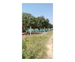 3 Acres Farm Land for Sale near Pallepally