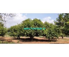 2 Acre's Mango Farm land for Sale near Shamshabad