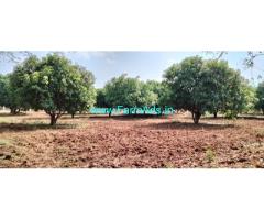 2 Acre's Mango Farm land for Sale near Shamshabad