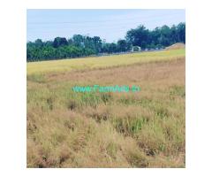 7 acre agriculture land for sale in Sakleshpur