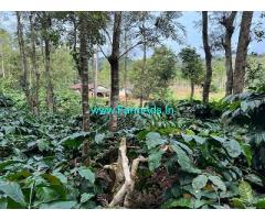 19 acres of well maintained plantation Sale near Chikmagalur