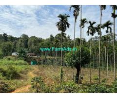 19 acres of well maintained plantation Sale near Chikmagalur