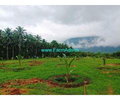 5 Acres Coconut Farm for Sale Pollachi to Govindhapuram Road