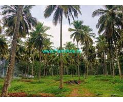 5 Acres Coconut Farm for Sale Pollachi to Govindhapuram Road