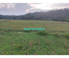 18 acre plain land for sale in Mudigere