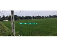 1.30 gunta Farm Land for Sale near Mysore