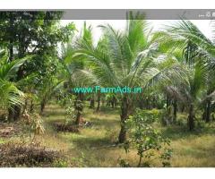 River Touch 50 Acres Agriculture farm land for Sale in South Goa