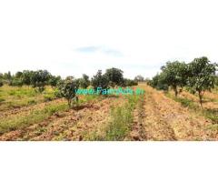 3 Acres of Mango Farm for Sale near Kolar