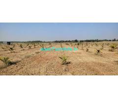 30 acre agriculture land for Sale near Hiriyur