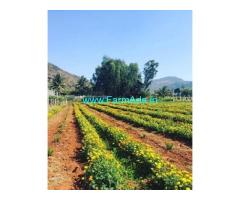 1 Acre Farm Land for Sale near Nandhi Hills